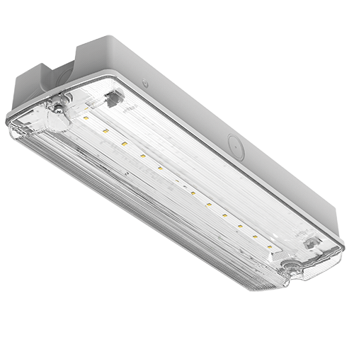 Darwell Emergency Bulkhead 4W 6500K White IP65 E-SEL3 Selectable