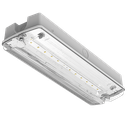 Darwell Emergency Bulkhead 4W 6500K White IP65 E-SEL3 Selectable