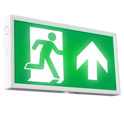 Redbrook Emergency Exit Box 3.5W 6500K White E-SEL3 Emergency