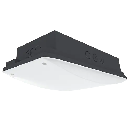 Napton High Output Emergency Bulkhead 6W 6500K IP65 Black NM 