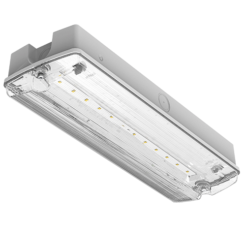 [430950] Darwell Emergency Bulkhead 4W 6500K White IP65 E-SEL3 Selectable